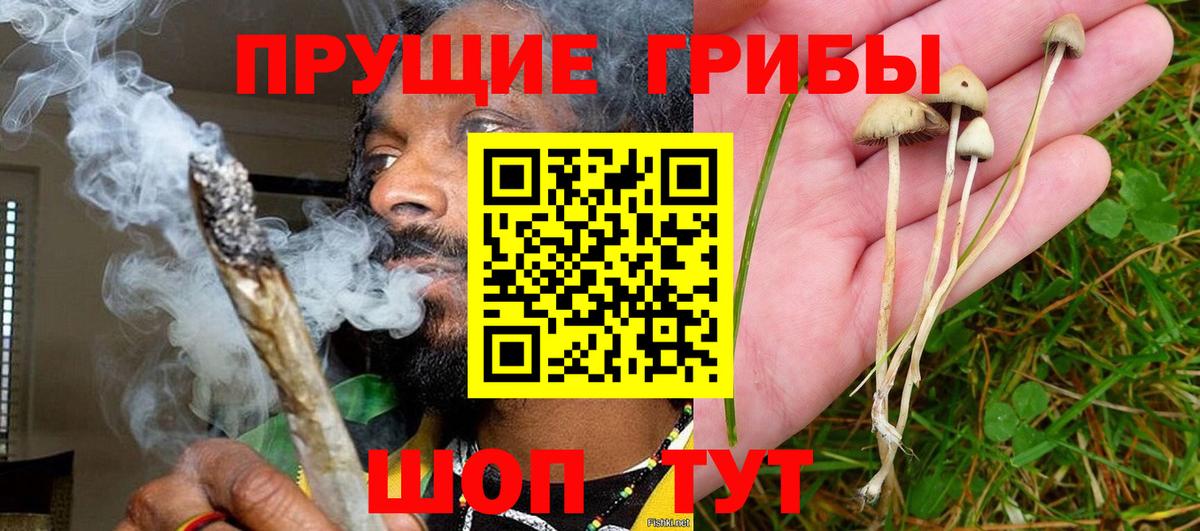 Галлюциногенные грибы ЛСД  Вход с VPN  Астрахань  Псилоцибиновые грибы Psilocybine cubensis 